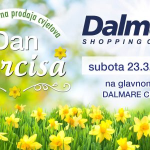 Kupite cvjetove u Dalmare centru i pridonesite borbi protiv raka dojke